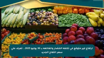 ارتفاع غير متوقع في تكلفة الخضار والفاكهة بــ 30 يوليو 2025.. تعرف على سعر التفاح الجديد